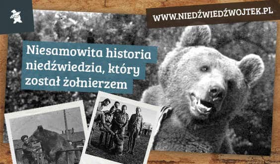 Niedźwiedź Wojtek w wersji pluszowej pojawił się w ofercie firmy Axiom.